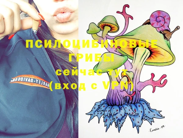 кокс Сясьстрой