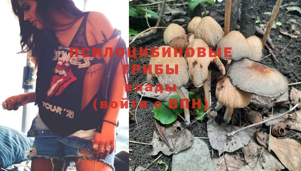 кокс Сясьстрой